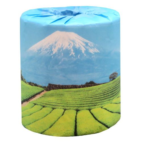 富士山B(茶畑)50個