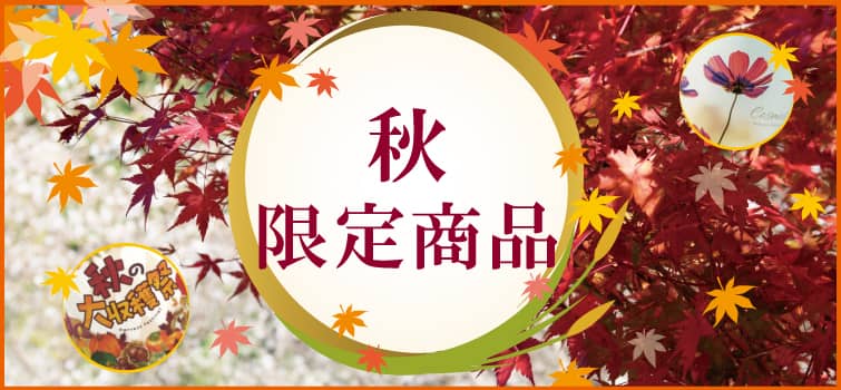 秋の販促品